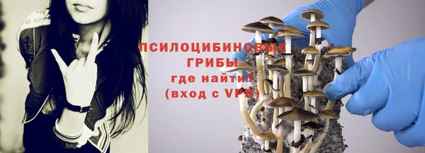 спиды Балабаново